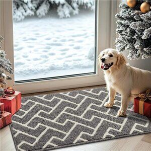 Indoor Doormat,Front Back Door Mat Rubber Backing Non Slip Door Mats,20"x31.5"